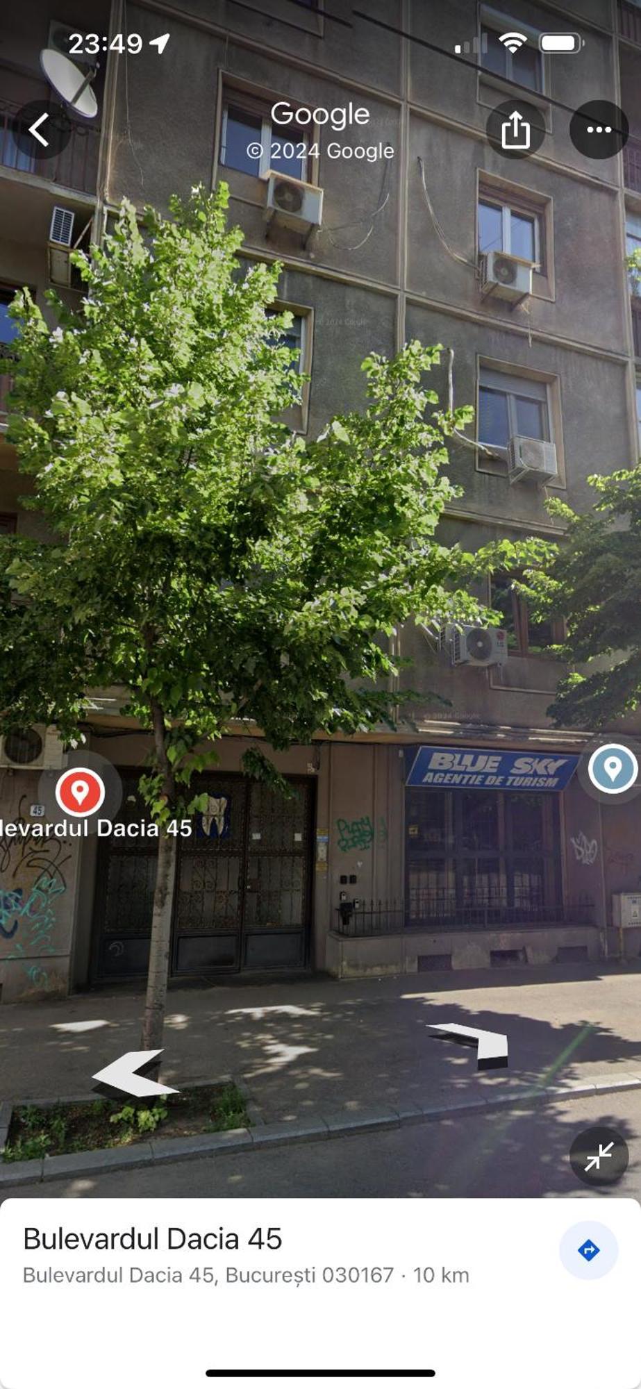 Jungle Breath - Centre * Bucarest